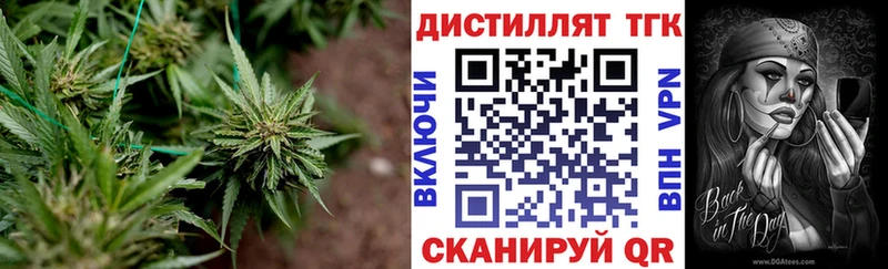 цены наркотик  Шатура  Дистиллят ТГК гашишное масло 