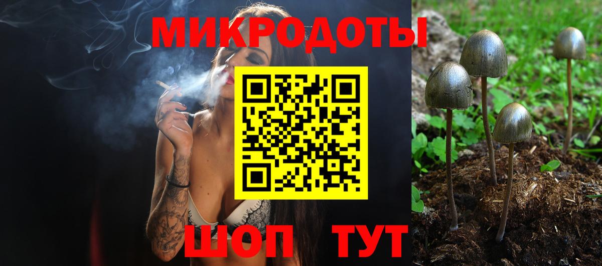 Псилоцибиновые грибы GOLDEN TEACHER Шатура