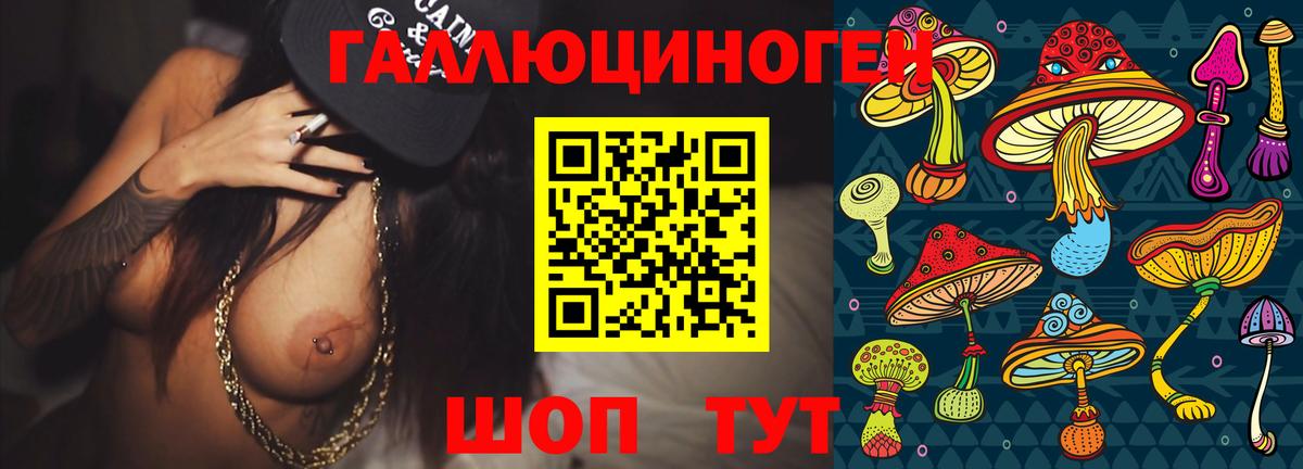 Шатура  Псилоцибиновые грибы мухоморы  купить наркотики цена  Вход с VPN 